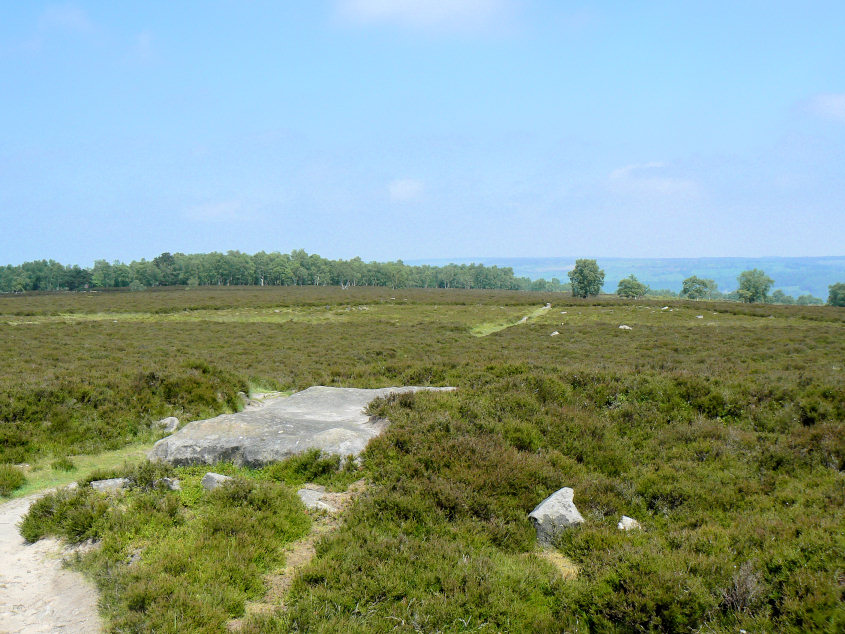Stanton Moor Plantation Stanton Moor Plantation